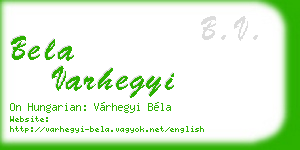 bela varhegyi business card