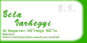 bela varhegyi business card